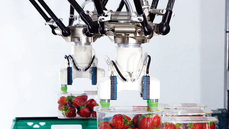 欧姆龙解决方案助力果盒包装实现更高的生产效率和成本效益